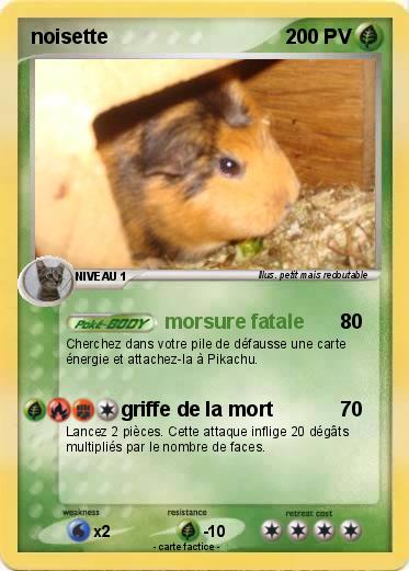 Pokemon noisette