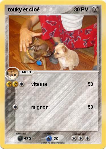 Pokemon touky et cloé