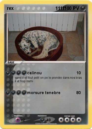 Pokemon rex                                 11111
