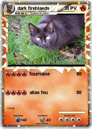 Pokemon dark fireblaeds