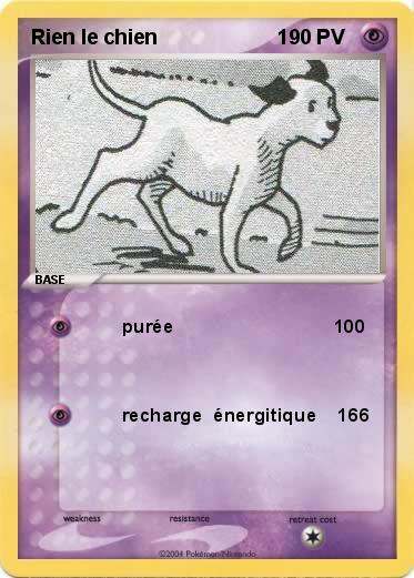 Pokemon Rien le chien                     1