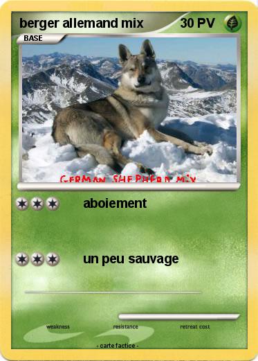 Pokemon berger allemand mix