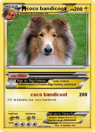 Pokemon coco bandicoot