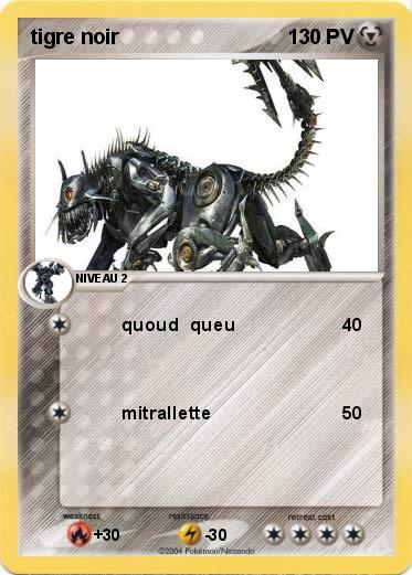 Pokemon tigre noir