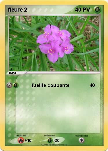 Pokemon fleure 2