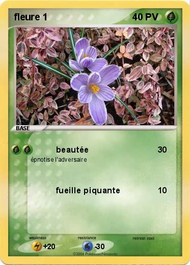 Pokemon fleure 1