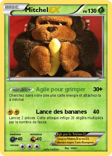 Pokemon Mitchel