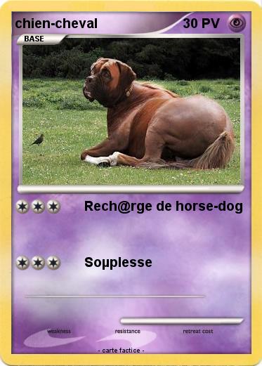Pokemon chien-cheval