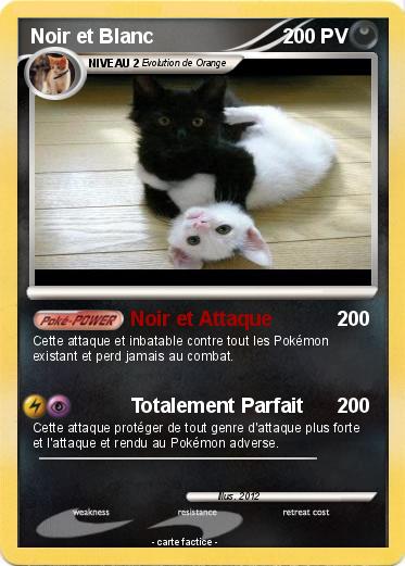 Pokemon Noir et Blanc