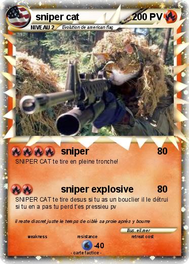 Pokemon sniper cat
