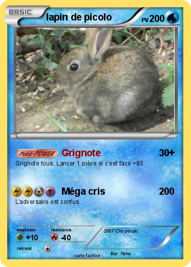 Pokemon lapin de picolo