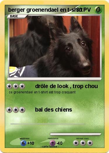 Pokemon berger groenendael en t-shirt