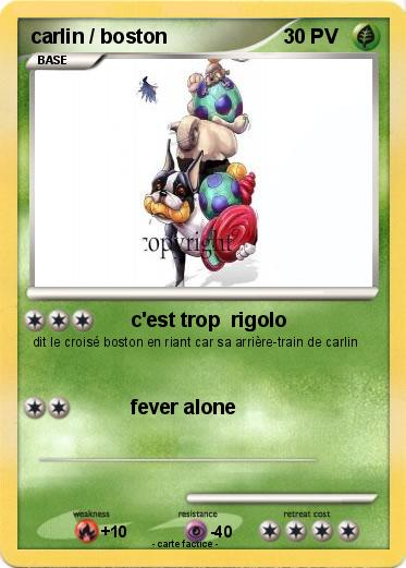 Pokemon carlin / boston