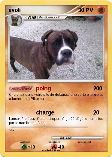 Pokemon évoli