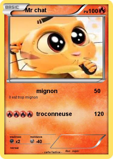Pokemon Mr chat