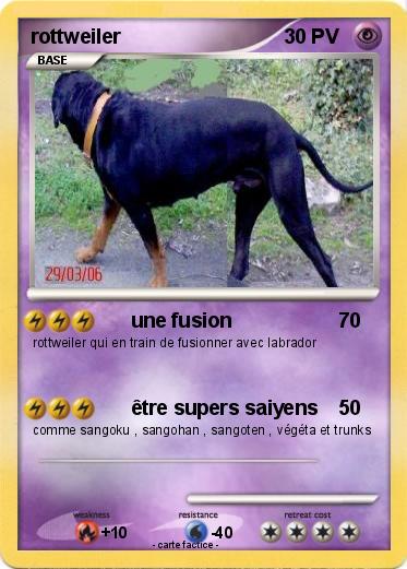 Pokemon rottweiler