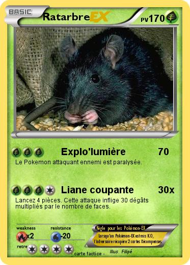 Pokemon Ratarbre