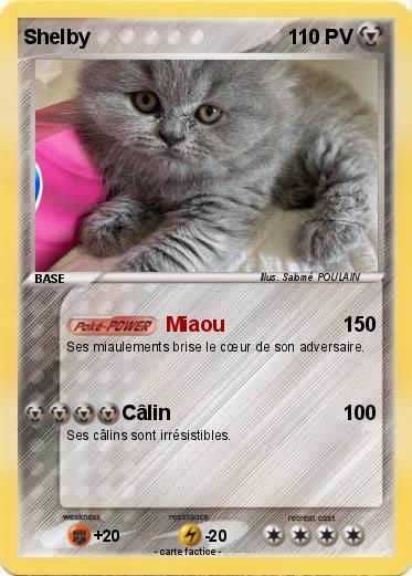 Pokemon Shelby