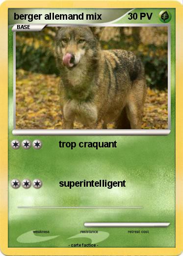 Pokemon berger allemand mix