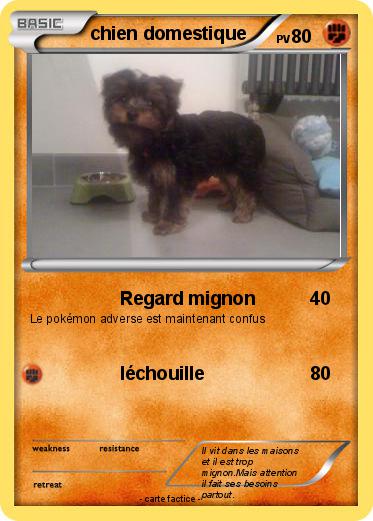 Pokemon chien domestique