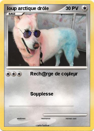 Pokemon loup arctique drôle