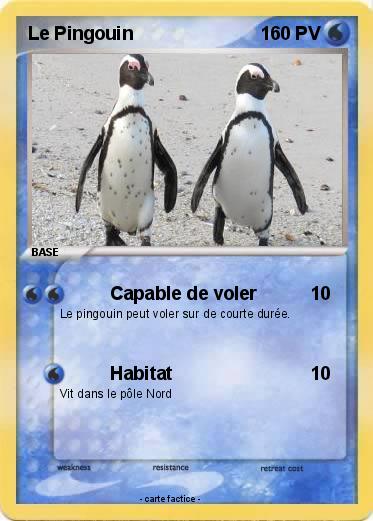 Pokemon Le Pingouin