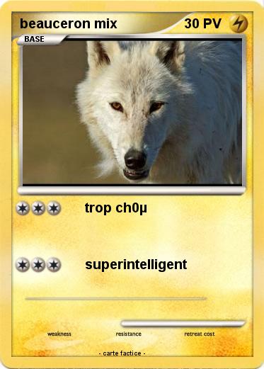 Pokemon beauceron mix