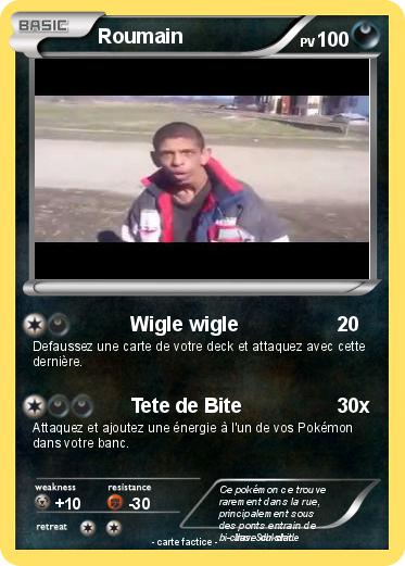 Pokemon Roumain