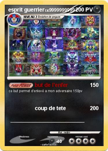 Pokemon esprit guerrier