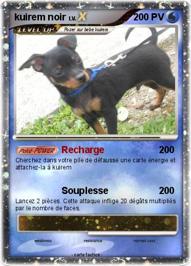 Pokemon kuirem noir