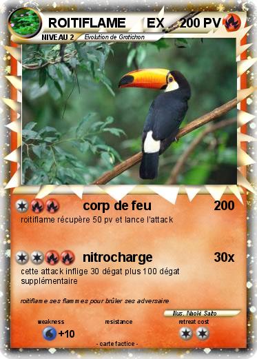 Pokemon ROITIFLAME      EX