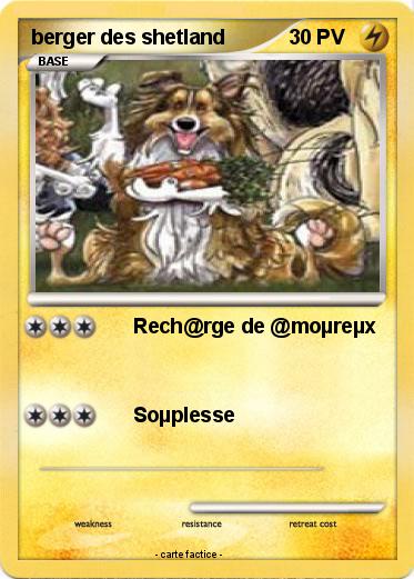 Pokemon berger des shetland