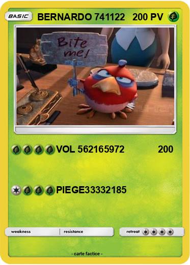 Pokemon BERNARDO 741122