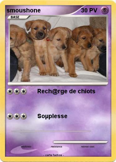 Pokemon smoushone