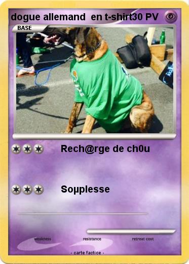 Pokemon dogue allemand  en t-shirt
