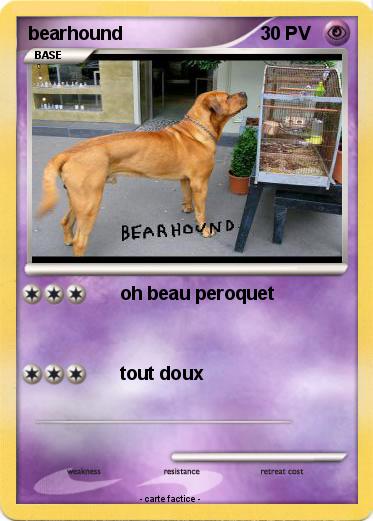 Pokemon bearhound