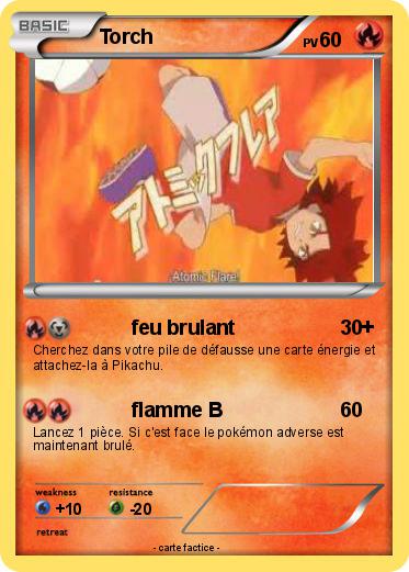 Pokemon Torch