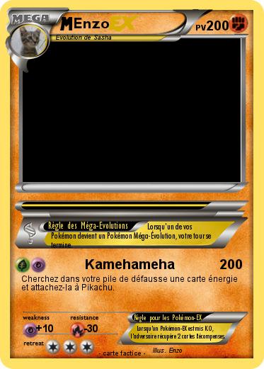 Pokemon Enzo