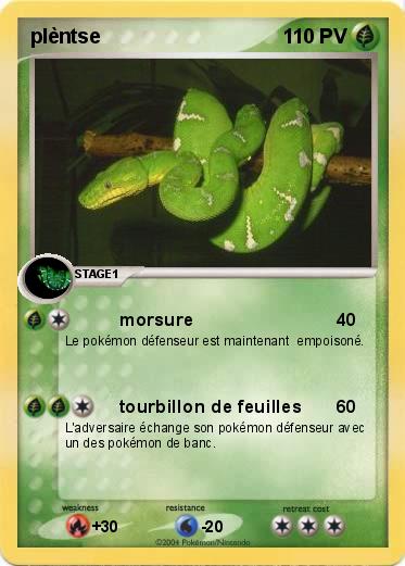 Pokemon plèntse
