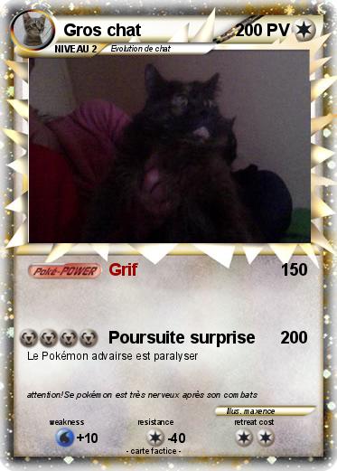 Pokemon Gros chat