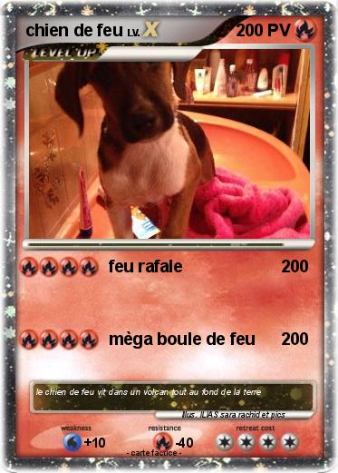 Pokemon chien de feu