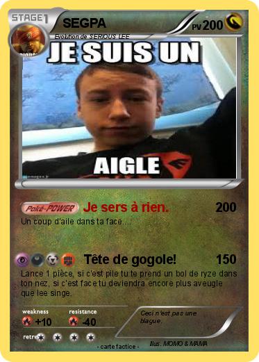 Pokemon SEGPA