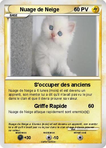 Pokemon Nuage de Neige