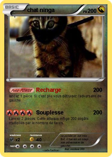 Pokemon chat ninga