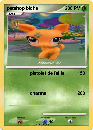 Pokemon petshop biche