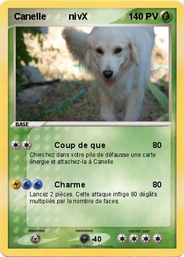 Pokemon Canelle         nivX