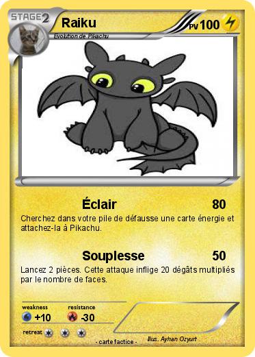 Pokemon Raiku