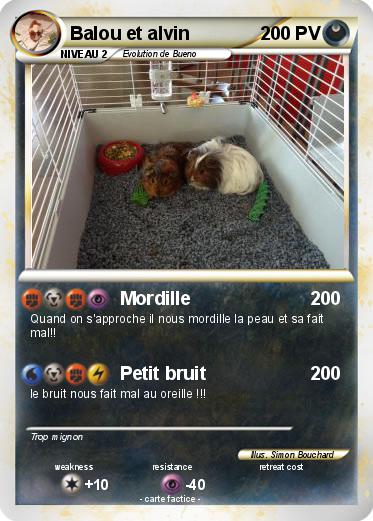 Pokemon Balou et alvin