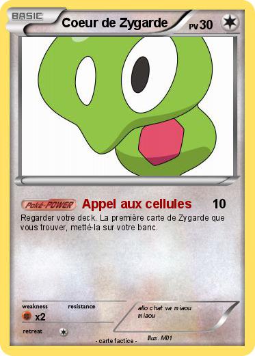Pokemon Coeur de Zygarde