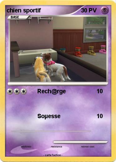 Pokemon chien sportif